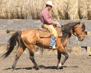 IMG_4262 WDX Nukem
