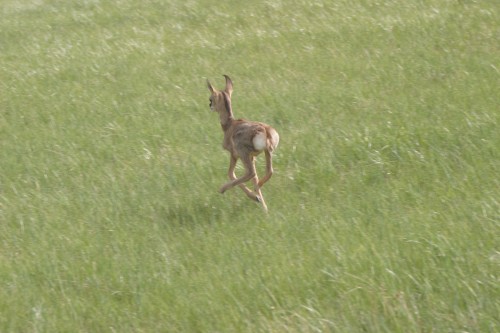 IMG_4709 IMG_4709