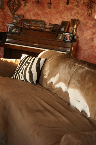 IMG_7365 IMG_7365