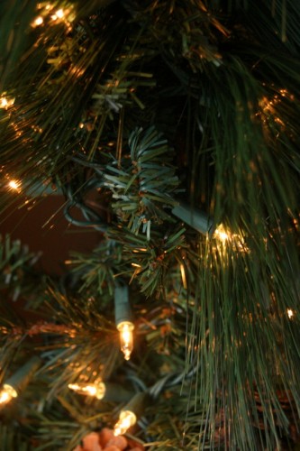 IMG_7760 IMG_7760