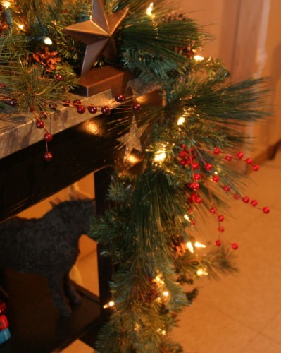 IMG_7795 IMG_7795