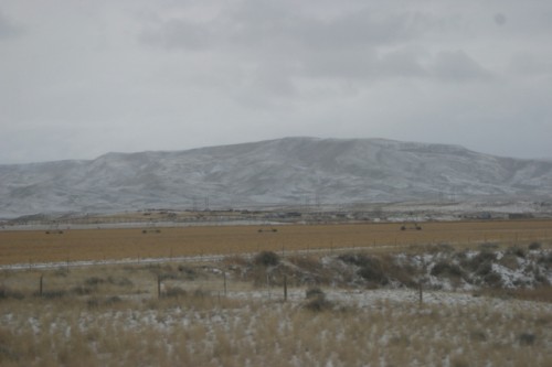 IMG_7990 It's a cold, blustery day in Wyoming...