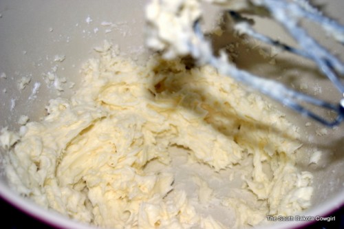 IMG_9544 IMG_9544