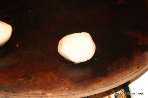 IMG_9567 IMG_9567