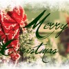 Merry Christmas Card Merry Christmas Card