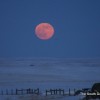 IMG_0350 IMG_0350