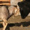 IMG_2476