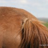 IMG_2699 IMG_2699