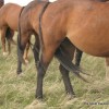 IMG_3029 IMG_3029
