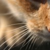 IMG_3099 IMG_3099