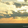 IMG_3318 IMG_3318