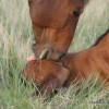 IMG_3754 IMG_3754