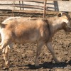 IMG_5331 IMG_5331