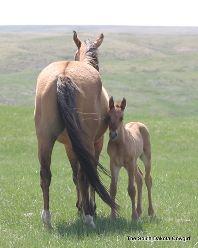 IMG_3937