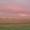 IMG_5594 IMG_5594