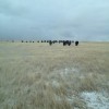 20120111-150840.jpg
