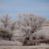 IMG_7008 IMG_7008