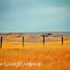 IMG_2920