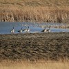 IMG_9460 IMG_9460