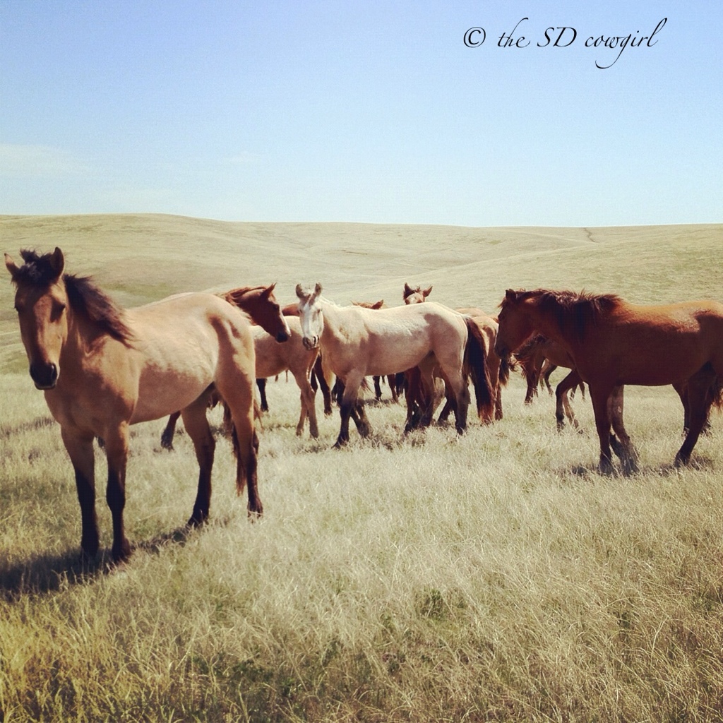 The Girls…