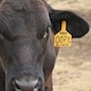 IMG_0898 IMG_0898