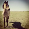 20120503-070123.jpg 20120503-070123.jpg