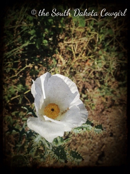 20120810-080046.jpg