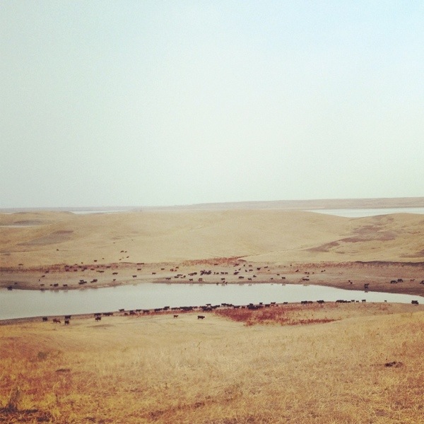 20120908-094327.jpg