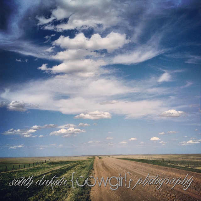 south dakota cowgirl photography, palomino horse, iphone photo