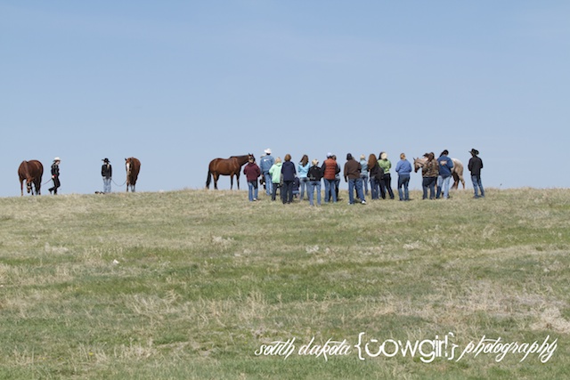 south dakota cowgirl photography, south dakota cowgirl, show horse photography, show horse photographers